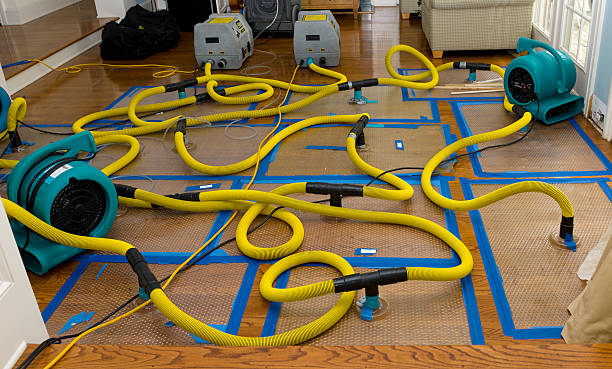 Professional Crawl Space Water Removal technician working in Saranac, MI